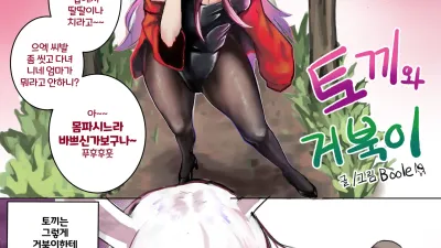 토끼와 거북이 [섹트야동,쇼츠야동,한국야동,딸퀸야동]