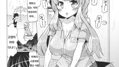 새끼 고양이의 보은 [섹트야동,쇼츠야동,한국야동,딸퀸야동]