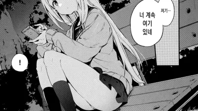 비밀 + 토라노아나 한정 리플릿 2 [섹트야동,쇼츠야동,한국야동,딸퀸야동]