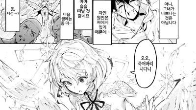천사의 직업 [섹트야동,쇼츠야동,한국야동,딸퀸야동]